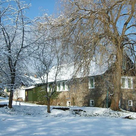 Apartman Dvorecna Loučovice Exterior foto