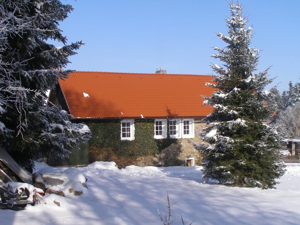 Apartman Dvorecna Loučovice Zimmer foto