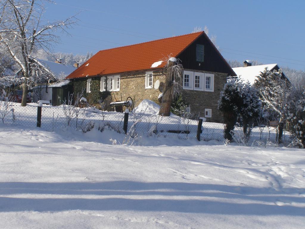 Apartman Dvorecna Loučovice Exterior foto
